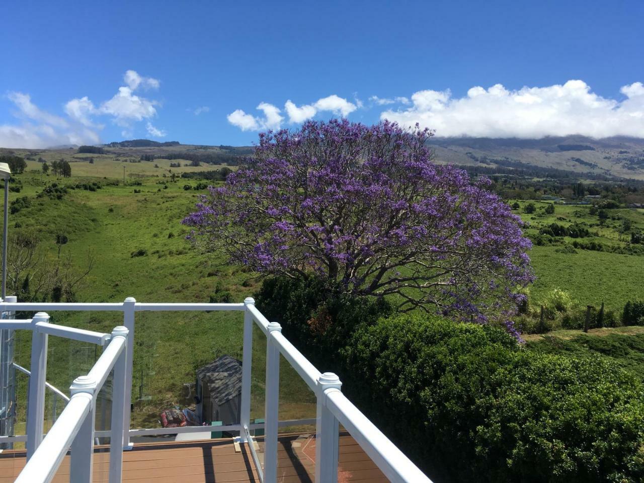 Ha'Le Kiana Bed & Breakfast Kula Bagian luar foto